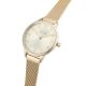 2. Paul Lorens Women's Watch PL12189B-4D1 + BOX