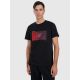 Men's regular printed T-shirt 4F 4FRAW25TTSHM3224-20S
