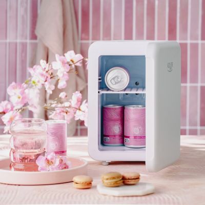 9. Mini fridge ADLER AD 8084g gray