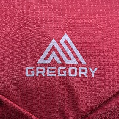 19. Gregory Jade LT 20L Hiking Backpack 149324-1761