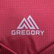 19. Gregory Jade LT 20L Hiking Backpack 149324-1761