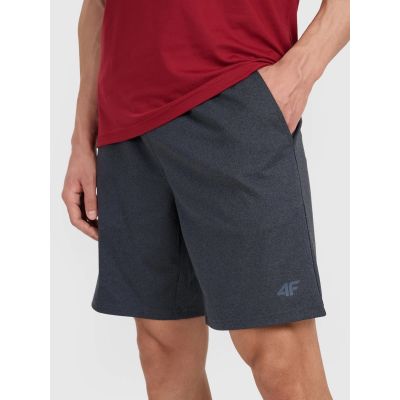 4. Men's quick-drying training shorts 4F 4FWMM00TFSHM1310-22M