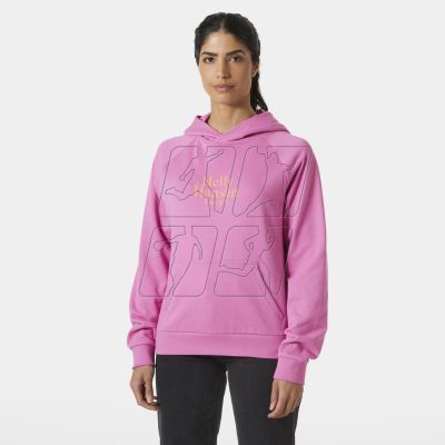 5. Helly Hansen Core Graphic Hoodie W 54239 089