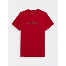 T-shirt 4F M 4FSS23TTSHM539-62S