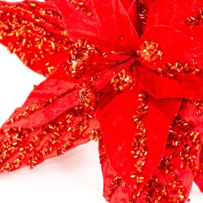 11. STAR OF BETHLEHEM 30CM