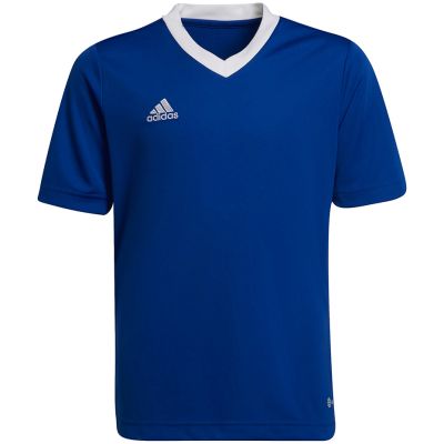6. Adidas Entrada 22 Jsy Jr T-shirt HG3948