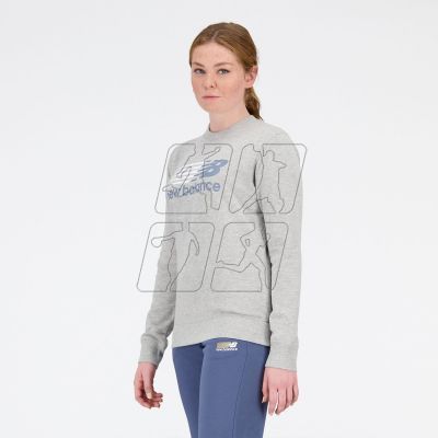 7. New Balance Sport Core Shadow French Terr AG Sweatshirt W WT31816AG