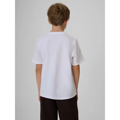 2. Boy's regular printed T-shirt 4F 4FJKAW26TTSHM4452-10S