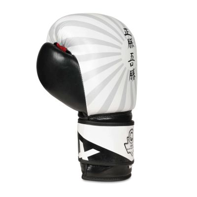 7. 10oz Boxing Gloves - Japan - Valor Series