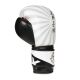 7. 10oz Boxing Gloves - Japan - Valor Series