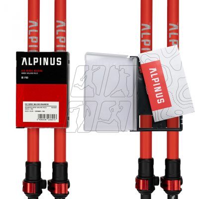 6. Alpinus Braunberg NX43601 Nordic walking poles