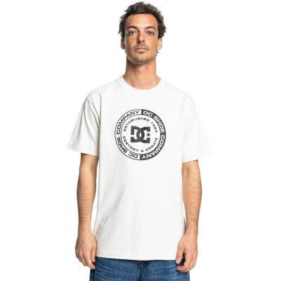3. DC Corpo SS Tee ADYZT05396-SCVW Gray S