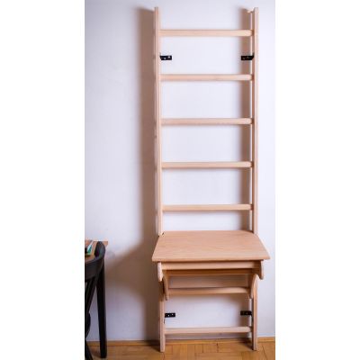 31. A DESK COVER FOR A WOODEN LADDER FOR A PULL-UP BAR BENCHK BT204