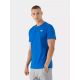 4. T-shirt 4F M 4FWSS23TTSHM1231-91S