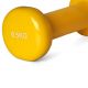 2. Vinyl dumbbell Profit 0.5kg DK 4102