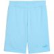Puma ESS No.1 Logo 10" Men's Shorts (s) Light Blue 682595 45