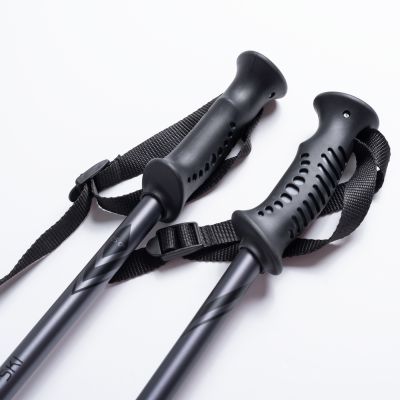 5. ALPINE SKI II poles