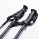 5. ALPINE SKI II poles