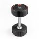 3. Dumbbell Body Sculpture TPU BW 133 6 KG
