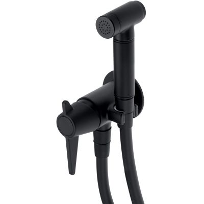 Concealed bidet tap with bidet shower head