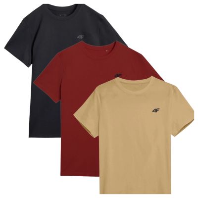 T-shirts 4F M 4FWSS25TTSHM3965-92S