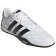4. Adidas ADIPISTA HQ9160 shoes