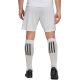 12. adidas Entrada 22 M HG6295 shorts