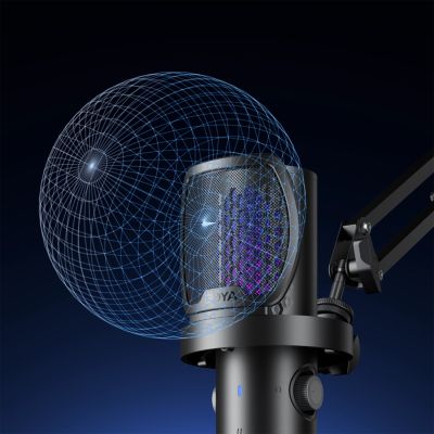 9. BOYA CastMic G40B Wired Gaming Microphone with Arm, USB-C - Black