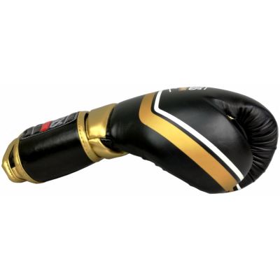 5. Masters RPU-10 Boxing Gloves 0116-10