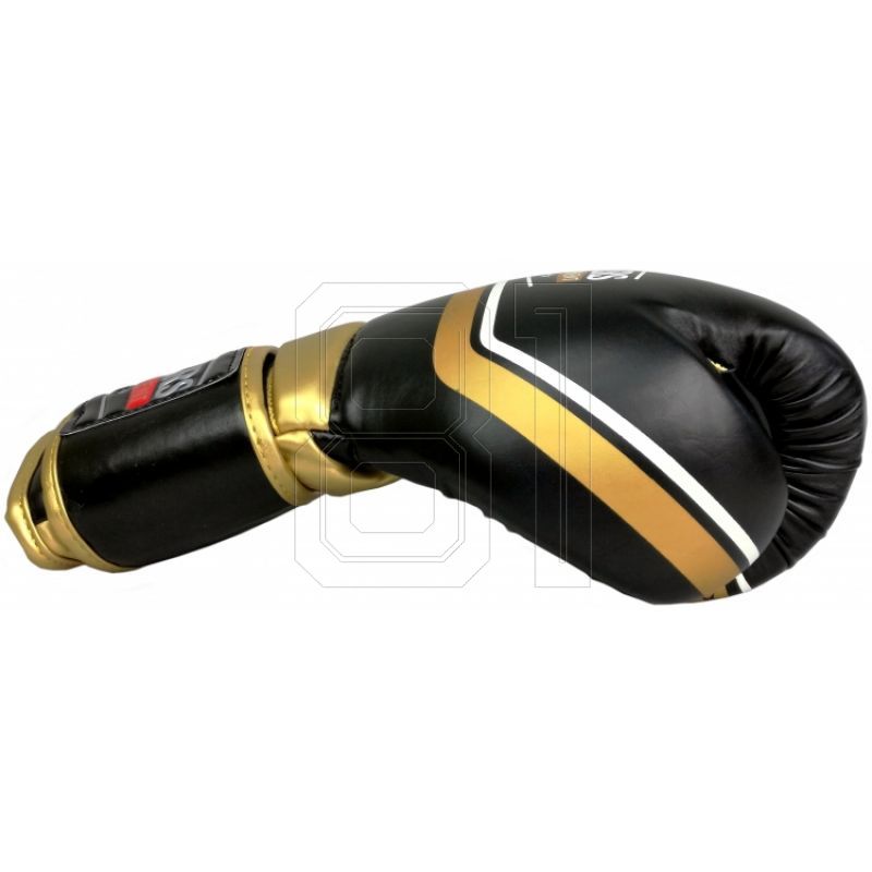 5. Masters RPU-10 boxing gloves 0116-10