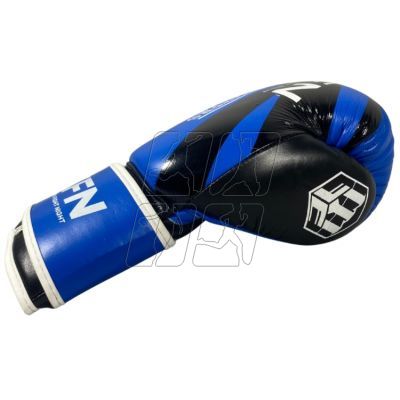 8. Masters RBT-KFN 10 01628-02 boxing gloves