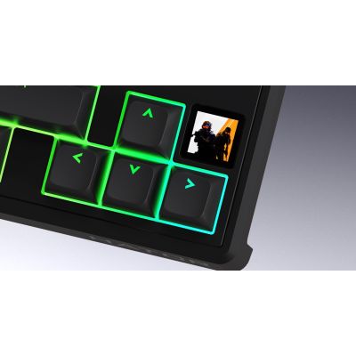 11. HATOR Skyfall 65 MAG ULTIMA 8K wireless keyboard Gaming USB + RF Wireless + Bluetooth QWERTY US English Black, White