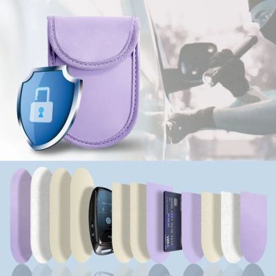2. Tech-Protect KLR100 RFID Blocking Car Key Case - Purple