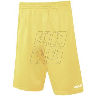 Colo Spring 04 Basketball Shorts