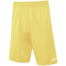 Colo Spring 04 Basketball Shorts