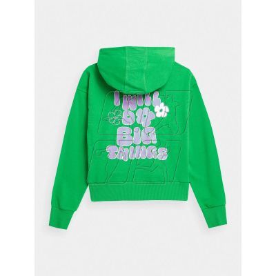 2. 4F Jr sweatshirt 4FJAW23TSWSF645-41S