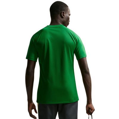 2. Men's Nike Dri-Fit Park VIII T-shirt green HV8173 302