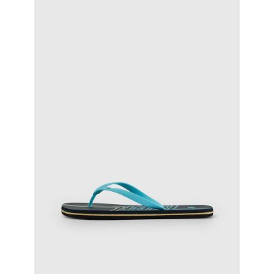 2. Men's flip-flops 4F 4FRSS26FFLIM246-31S