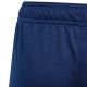 9. adidas Tiro 24 Training Jr IS1003 Shorts