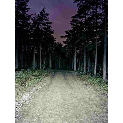 12. BOOKMAN Volume Front 800 bicycle light