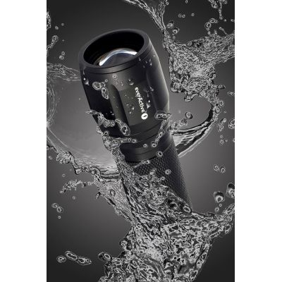 6. EVERACTIVE LED HAND LAMP 350 LUMEN FL300+