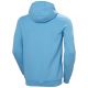 2. Helly Hansen HH Box Hoodie M 53289 621