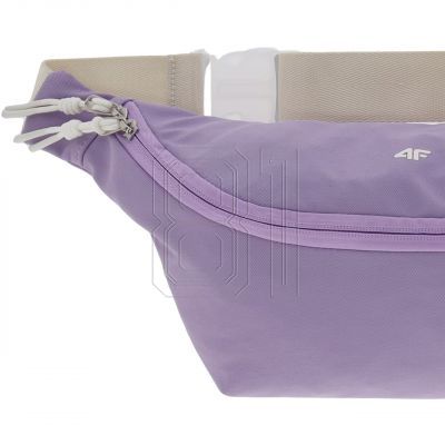 3. Bag, waist bag 4F U103 4FWSS25AWAIU103 52S