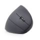 18. GEMBIRD MUSW-ERGO-01 mouse (optical; 1600 DPI; black)