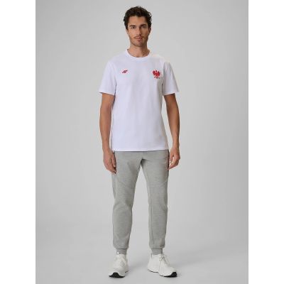 6. Men's cotton fan T-shirt 4F 4FRSS26TTSHM4203-10S
