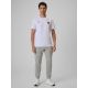 6. Men's cotton fan T-shirt 4F 4FRSS26TTSHM4203-10S