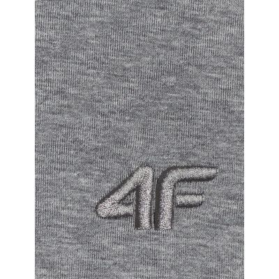 8. Men's regular hooded sweatshirt 4F 4FRSS26TSWSM2793-24M