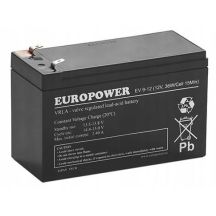 EUROPOWER EV Series AGM Battery 12V 8Ah / C10 (Lifespan 6-9 years) T1