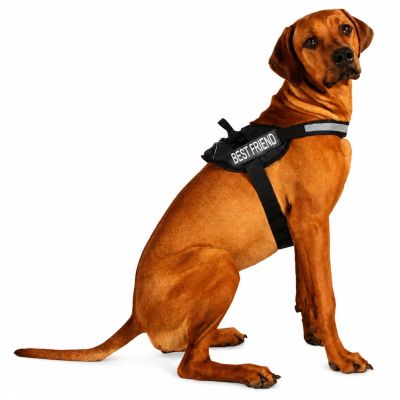 15. DOG HARNESS WITH REFLECTIVE TAPE 41 - 67 CM LARGE