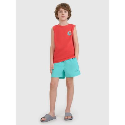 Boys' boardshorts 4F 4FJWSS25UBDSM117-47S